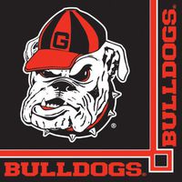 Creative Converting 336376 Georgia Bulldogs Beverage Napkins, 20-Count
