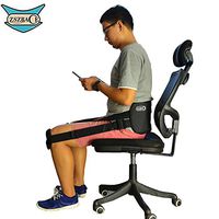 Posture Correcting Lumbar Support with Adjustable Straps Keeps Back Straight Suitable in Office,at Home,Outdoors
