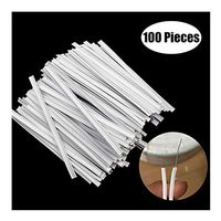 100mm PE Wrapped Metal Strips Straps Nose Bridge Strip, Mæsk Nose Bridge Strip, for DIY Mæsk Handmade Crafting Making Nose Bridge Clip (100pc)