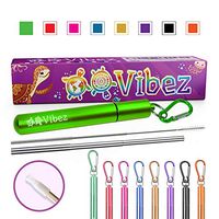 Collapsible Stainless Steel Straw (Green)