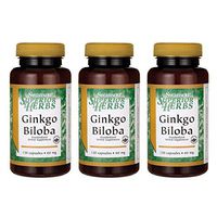 Swanson Ginkgo Biloba (Standardized) 60 Milligrams 120 Capsules (3 Pack)