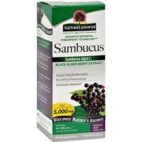 Nature's Answer - Sambucus Original - 4 oz.
