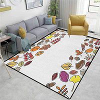Harvest Paisley Area Rug Non Slip, Fruits Nuts Leaves Various Different Hand Drawn Style Elements Nature Borders Frame, Durable Rugs - Living, Dinning, Office, Rooms & Bedrrom, Hallway Carpet