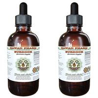 Burdock Alcohol-Free Liquid Extract, Organic Burdock (Arctium Lappa) Dried Root Glycerite Hawaii Pharm Natural Herbal Supplement 2x4 oz