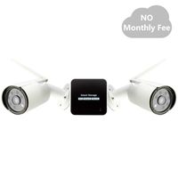 Wireless Mini Security Camera Storage Surveillance System, 2 Pack WiFi Night Vision Security IP Cameras, Design for   Home User, Easy to use, TT12CN-2