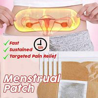 Ewinodon Body Wormwood Leonurus Warmer Stick Long-Lasting Heat Patch Keep Hand Feet Foot Warm Paste Pads Relieve Dysmenorrhea Warm Pads Love it 12 pcs