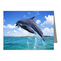 Note Card Dolphins Singing