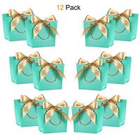 Gift Bags with Handles- WantGor 8.6x6.3x2.7inch Paper Party Favor Bag Bulk with Bow Ribbon for Birthday Wedding/Bridesmaid Celebration Present Classrooms Holiday(Blue-Green, Extra Small- 12 Pack)