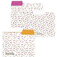 Neon Dots File Folder Set