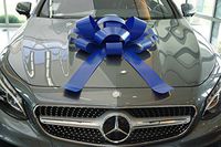 CarBowz Big Car Bow, Giant Bow, Non Scratch Magnet, Weather Resistant Vinyl (Blue)
