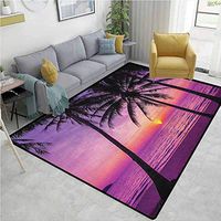 Ocean Polka Dot Anti-Skid Rugs, Palm Trees Silhouette at Sunset Dreamy Dusk Warm Exotic Twilight Scenery Image, Durable Carpet Area rug - Living Dinning Room Bedroom Rugs and Carpets(4'x 6')