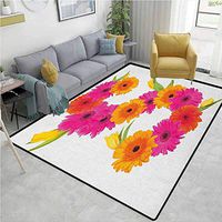 Letter S Animals Girls Rooms Nursery Decor Mats, Fragrance C Garden Flourishing Nature Essence of Nature in Alphabet, Easy Maintenance Area Rug Living Room Bedroom Carpet(2'x 6') Orange Hot Pink Green