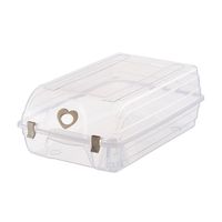 PeleusTech® Plastic Moistureproof Thicken Shoes Storage Box Organizer for Mens, Womens, Kids Sandals, Flats, Sneakers (Transparent)