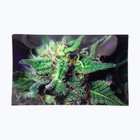 V Syndicate Blue Dream Small 6.5x5 inches Glass Rolling Tray