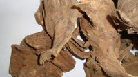 1LB vietname agarwood Lignum Aquilariae Aquilaria Agallocha Roxb
