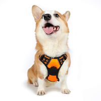 Rabbitgoo  Dog Harness No-Pull Pet Harness Adjustable Outdoor Pet Vest 3M Reflective Oxford Material Vest for Dogs Easy Control for Small Medium Large Dogs (Orange, M)