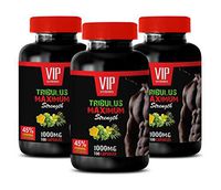 Testosterone Support for Men - TRIBULUS TERRESTRIS Maximum Strength - 45% STEROIDAL SAPONINS - tribulus terrestris Extra Strength - 3 Bottles (300 Capsules)