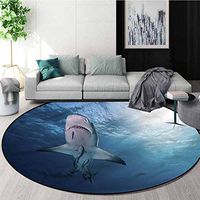RUGSMAT Sea Animals Computer Chair Floor Mat,Baby Sharks and Fish Design Non-Slip Fabric Round Rugs for Floor Mat Carpet Diameter-35