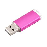 FAgdsyigao Transparent Lid U Disk, USB Flash Drive Memory Sticks for Computer Notebook Laptop Rose Red 64G