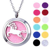 VALYRIA Pentium Horse Aromatherapy Essential Oil Diffuser Necklace - Stainless Steel Locket Pendant with 12 Refill Pads