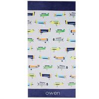 Onebycitess Beach Towel 100% Cotton 35''x70'' Soft Quick Dry Beach Blanket Bath Towel for Kids Adults(Airplane)