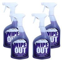 Wipe Out 6012-02 All Purpose Surface Cleaner for Swimming Pools, 1-Quart, 4-Pack