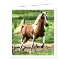 Miniature Horse - Uno - Set of 6 Notecards with Envelopes by Doggylips
