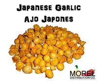 Japanese Garlic//AJO Japones (100% Natural!!) Different Weights: (1 Lb, 2 Lbs, 5 Lbs, 10 Lbs, and 20 Lbs) (10 Lbs)