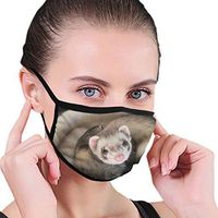 YOFFYO Special Cute Ferret Anti-Dust Earloop Mouth Cover for Women Men, Pollen Painting Cosplay Half Face Mouth Cover - Elastic Band