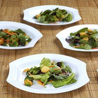 BalsaCircle 20 pcs 10.5-Inch White Plastic Oval Plates - Disposable Wedding Party Catering Tableware