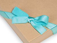 Pack Of 50, 12" Aqua Satin Stretch Wide Loops W/Pre-Tied Bows For Jewelry Boxes
