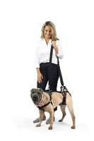 PetSafe CareLift Support Harness - Full Body Lifting Aid with Handle and Shoulder Strap - Great for Pet Mobility and Older Dogs - Comfortable, Breathable Material - Easy to Adjust - Medium