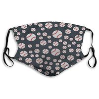 Mouth Masks for Dust Protection Anti Face Mask Washable Earloop Mask Activated Carbon Filter Skull Baseball