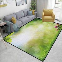 YucouHome Nature Paisley Door Mats Outdoor, Fresh Spring Meadow with Blooming Wild Flowers Soft Blurry Morning View, Fashionable High Class Living Bedroom Rugs(3'x 8') Green Pale Yellow Pink