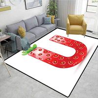 Bigdatastore Letter U Striped Area Rug Mat, Fresh Fruits and Alphabet Letters Strawberry Summer Food Composition, Durable Carpet Area Rug - Living Dinning Room Bedroom Rugs and Carpets(2.5'x 9')