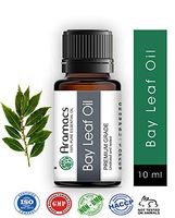 Bay Leaf Essential Oil - Pure and Natural Therapeutic Grade 10 ML