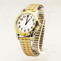One-Button Talking Watch with Alarm - 2 Tone Silver/Gold-Male-Expansion Band