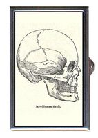 Human Skull Victorian Gothic Horror Graphic Decorative Pill Box