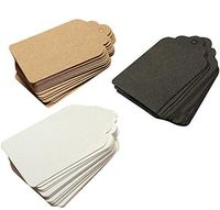 HugeDE 200 Pcs Mini Rectangle Kraft Paper Gift Tags Price Tags Crafts Hang Tags Label Tags White
