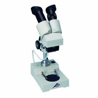 3B Scientific W30660-115 Binocular Stereo Microscope, 20x Magnification, Upper Tungsten Illumination, Fixed Stage, 115V