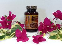Japan Reishi Mushroom By Princess Lifestyle