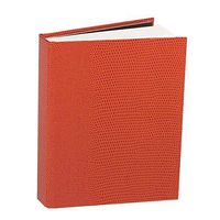 Caspari Lizard Mini Writing Journal in Orange