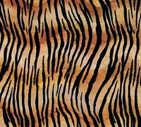 Tiger Stripe Tissue Paper for Gift Wrapping 20"x30" Sheets Animal Print Safari - 5ct