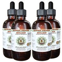 Mullein Alcohol-Free Liquid Extract, Organic Mullein (Verbascum densiflorum) Dried Flower Glycerite Natural Herbal Supplement, Hawaii Pharm, USA 4x4 oz