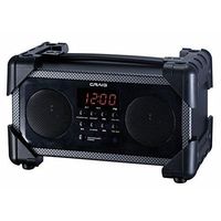 Icraig Bluetooth Radio Music, Stereo