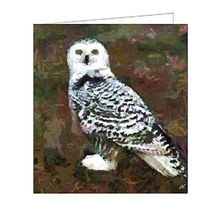 Snowy White Owl - Fine Art Note Cards & Envelopes - Set of 6