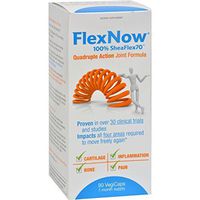 Flex Now Joint Formula 90 SFG