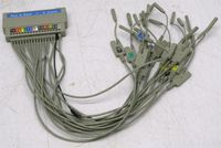 HP Pod 6 Data + P Clock