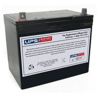 EVX12520 12 Volt 55 Ah SLA Replacement Battery w/ NB Terminal