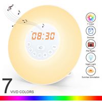 Wake Up Light, Newest Alarm Clock Sunrise Simulation Snooze Radio Clock Bedside Night Light with Nature Sounds, FM Radio, Touch Control and USB Charger